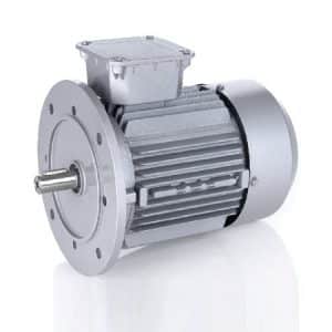 Động cơ Radicon Power build